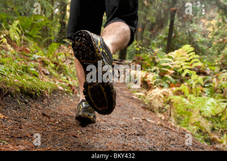 Die Füße des Trailrunning-ein Mann auf einem nassen schlammigen Weg in den Olympic National Park. Stockfoto