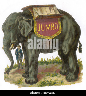 Der Elefant Jumbo Stockfoto