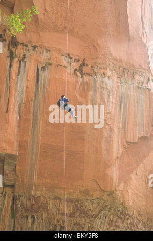 Ein Canyoning-Mann Abschluss eine kostenlose Abseilen am Ende des Heaps Canyon, Zion National Park, Springdale, Utah. Stockfoto