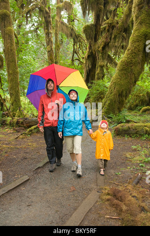 Eine Familie geht im Regen mit einem großen Sonnenschirm, Hoh, Washington, Hoh Rainforest, Olympic National Forest wandern. Stockfoto