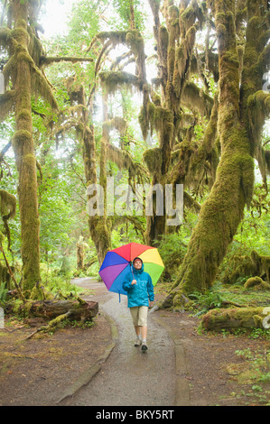 Eine Frau mit einem großen Schirm im Regen wandern, Hoh Rainforest, Olympic National Forest, Hoh, Washington. Stockfoto