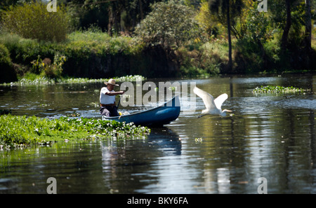 Ein Reiher fliegt vorbei an einem Mann Navigation sein Boot durch einen Kanal in Xochimilco auf der Südseite von Mexiko-Stadt Stockfoto