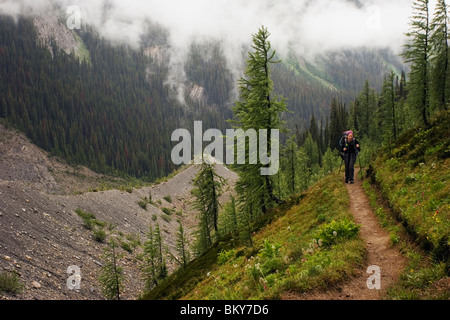 Eine weibliche Backpacker in ihren frühen dreißiger Jahren die Rockwall Wanderweg, Kootenay National Park. Stockfoto