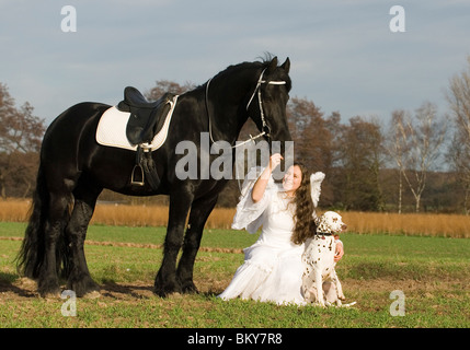 Engel, Friesen und Dalmatiner Stockfoto