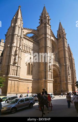 Die Kathedrale La Seu im Sonnenlicht, Palma, Mallorca, Spanien, Europa Stockfoto