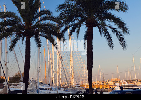 Marina von Palma bei Sonnenaufgang, Palma, Mallorca, Balearen, Mittelmeer, Spanien, Europa Stockfoto