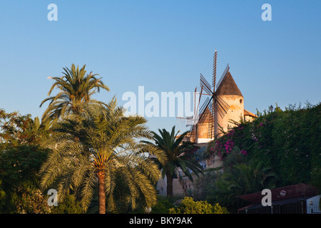 Historische Windmühlen von Es Jonquet mit Stadtmauer in der Altstadt von Palma, Mallorca, Balearen, Mittelmeer, Spanien, Stockfoto