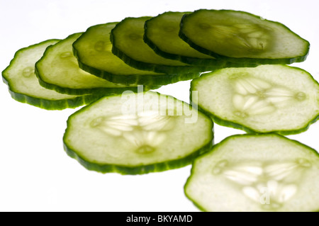 dünne Scheiben Gurke von hinten angestrahlt und vor einem weißen Hintergrund isoliert Stockfoto