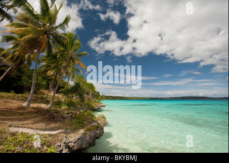 Kristallklares Wasser in Santal Bucht, Lifou, Neukaledonien Stockfoto