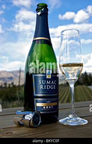 Luftbläschen steigen in ein Glas und Flasche Sekt weißer Stellar Jay Wein gemacht im Stil klassischen Champagner Stockfoto