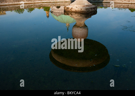 Hofgarten Brunnen Wasserreflexionen von Dianas Tempel und Kirche der Theatinerkirche in München. Stockfoto