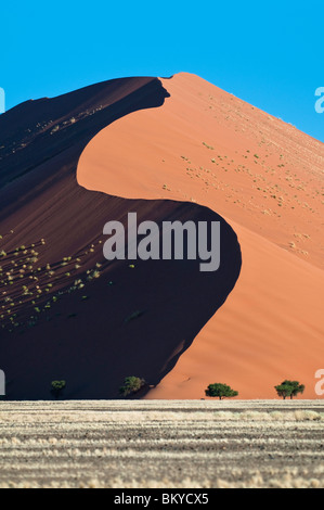 Eins von den riesigen roten Sanddünen kurz vor Sonnenuntergang im Sossusvlei, Namib-Wüste, Namibia, Afrika Stockfoto