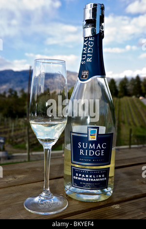 Luftbläschen steigen in ein Glas und eine Flasche Gewürztraminer Sekt gemacht im Stil klassischen Champagner Stockfoto