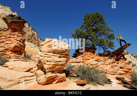 Wanderer, Checkerboard Mesa, Zion Nationalpark, Utah, USA Stockfoto