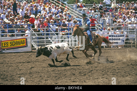 Abseilen an der Schwestern Rodeo, Schwestern, Oregon zu steuern Stockfoto