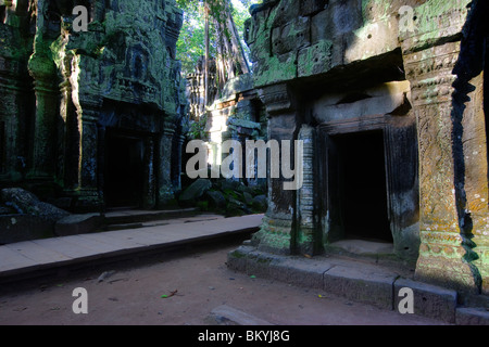 Eingang zu einem Paar von Stupas in Ta Prohm Tempel in der Nähe von Angkor Wat, Kambodscha Stockfoto