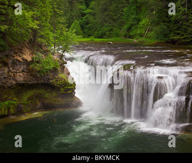 Gifford Pinchot National Forest, WA Unterlauf Lewis fällt im Sommer Stockfoto