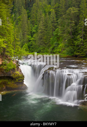 Gifford Pinchot National Forest, WA Unterlauf Lewis fällt im Sommer Stockfoto