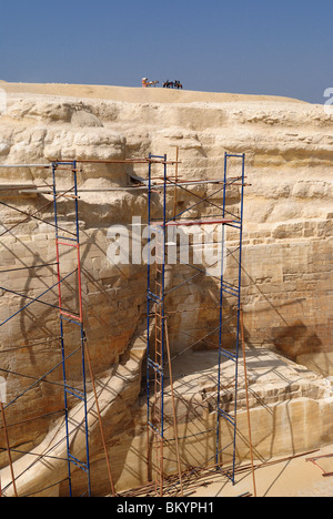 Detail der Sphinx, Giza, Ägypten Stockfoto