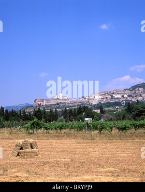 Panorama der Stadt Assisi, Umbrien Region, Italien Stockfoto