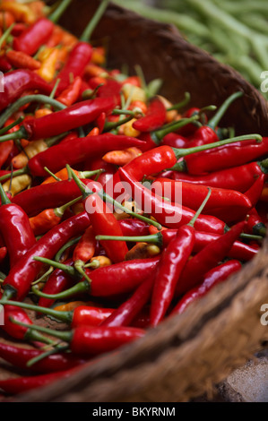 Rote Chilis Stockfoto