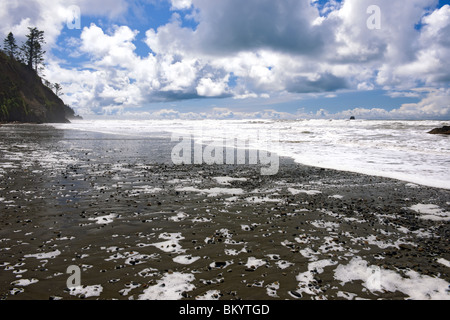 Meerschaum auf Washingtons Ruby Beach in Olympic Nationalpark. Stockfoto