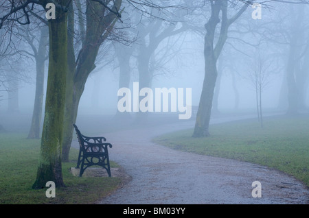 Parkbänke unter Bäumen an einem nebeligen Tag Stockfoto