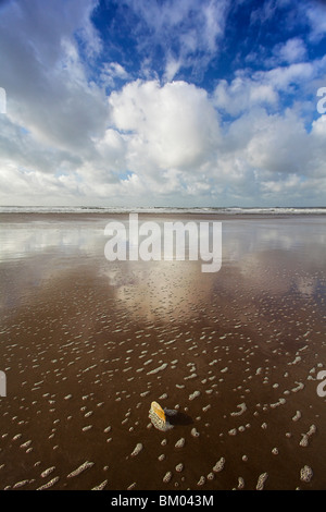 Newgale Strand, St Brides Bay, Pembrokeshire, Wales, UK Stockfoto