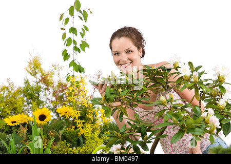 Gartenarbeit - Frau mit Rhododendron Blume Blüte auf weißem Hintergrund Stockfoto