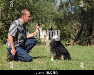 Australian Shepherd Hund tanzen Stockfoto