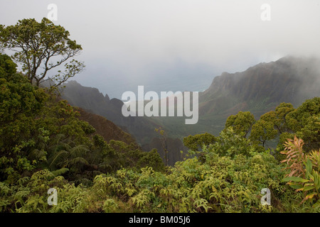 Tropische Vegetation und Na Pali Coast, Blick vom Kalalau Lookout, Kokee State Park, Kauai, Hawaii Stockfoto