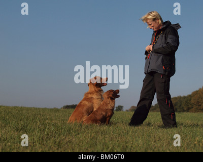 Frau und Nova Scotia Duck Tolling Retriever Stockfoto