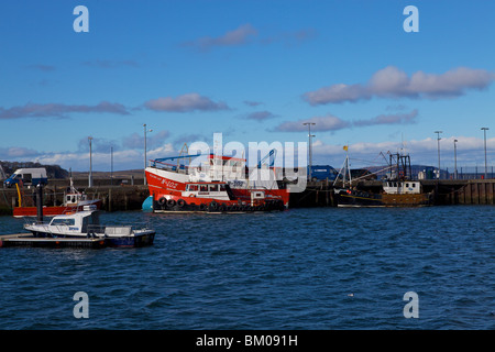 Angelboote/Fischerboote in Stranraer Harbour, Dumfries & Galloway, Schottland Stockfoto