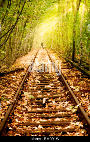 Alten Bahnstrecke ungenutzte seit den 80er Jahren in Berlin laufen durch Wald mit einer Figur in der Ferne Stockfoto