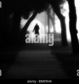 Ein einsamer Mädchen hinunter einen Baum überdachten Gehweg im Nebel. Stockfoto