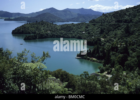 Abgelegenen Bucht in Marlborough Sounds, in der Nähe von Picton, Marlborough Sounds, Südinsel, Neuseeland Stockfoto