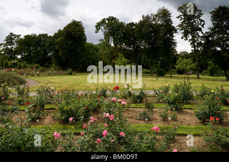 Europa Rosarium in Sangerhausen, die größte Sammlung von Rosen in der Welt, Sachsen-Anhalt, Deutschland, Europa Stockfoto