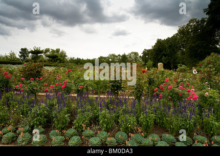 Europa Rosarium in Sangerhausen, die größte Sammlung von Rosen in der Welt, Sachsen-Anhalt, Deutschland, Europa Stockfoto