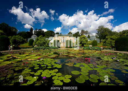 Zoologische und botanische Garten Wilhelma, maurischen Garten mit die größte Seerosen in der Welt, Stuttgart, Baden-Wuerttemb Stockfoto