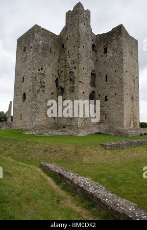 Trim, Trim Castle, County Meath, Irland Stockfoto