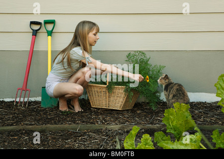 Junge Frau mit Katze Blume Stockfoto