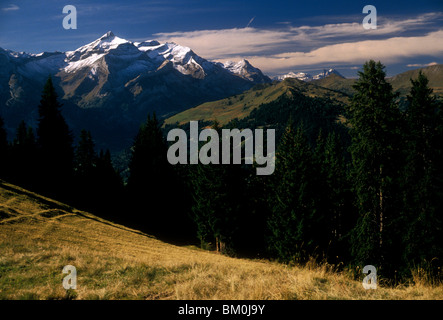 Wandern Wanderweg Berglandschaft Berner Oberland in der Nähe von Stadt von Gstaad Bern Kanton der Schweiz Europa Stockfoto