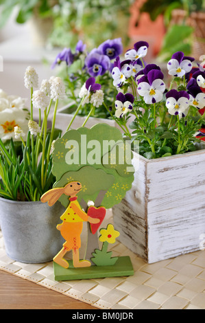 Gehörnte Stiefmütterchen (Viola cornuta) und armenischen Traubenhyazinthen (Muscari armeniacum 'White Magic') mit Ostern Dekoration Stockfoto