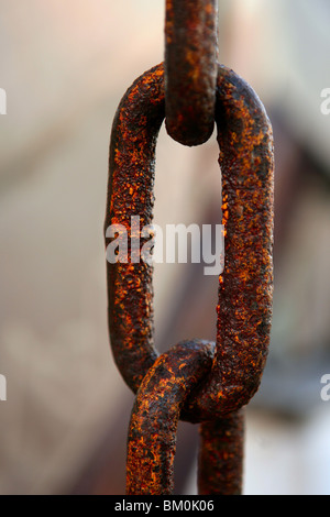 Makro Kettenglied, rostigem Stahl. Meeresumwelt Stockfoto