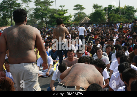 Des Publikums während Wai Kru Day am Wat Bang Phra, ein buddhistischer Tempel in Thailand, wo Mönche Anhänger tattoo. Stockfoto