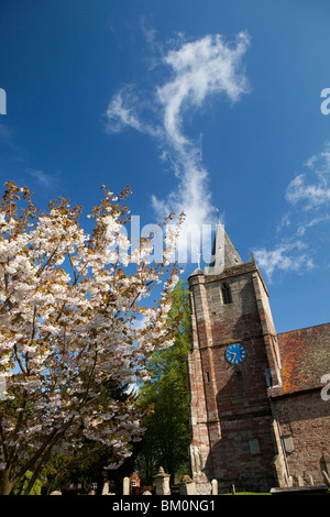 Großbritannien, England, Gloucestershire, Dymock, St Mary die Jungfrau Kirche, Frühling mit Baum in Blüte Stockfoto