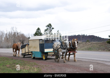 Wagonteamster - Wagen und Pferd Art des Reisens, USA Stockfoto