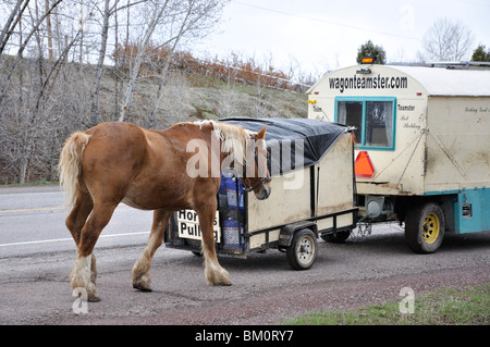 Wagonteamster - Wagen und Pferd Art des Reisens, USA Stockfoto