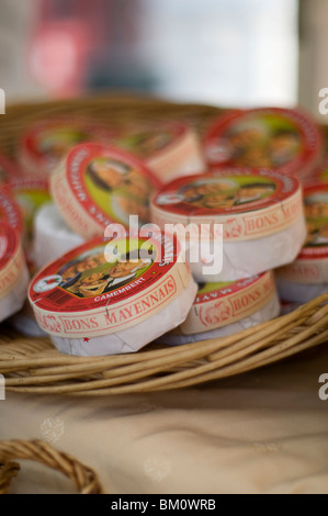 Camembert Käse auf Korbwaren Tablett im französischen Markt Stockfoto