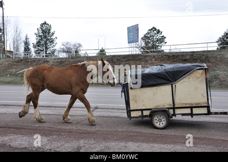 Wagonteamster - Wagen und Pferd Art des Reisens, USA Stockfoto